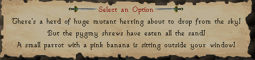 Options