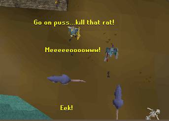 Kill rats