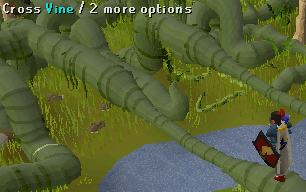 Maze 8