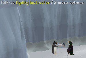 Instructor