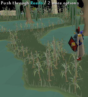Reeds
