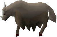Yak