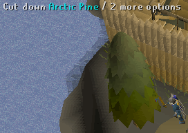 Pine