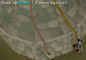 Beard