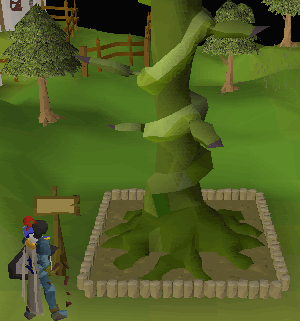 Beanstalk