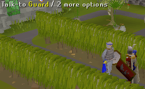 Guard