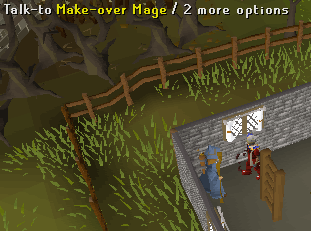 Mage