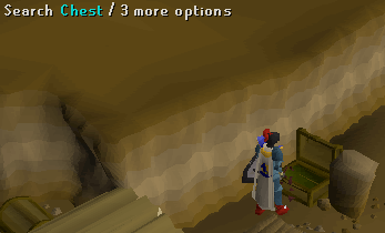 Chest