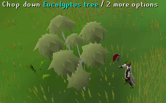 Trees